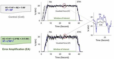 Variations in Static Force Control and Motor Unit Behavior with Error Amplification Feedback in the Elderly